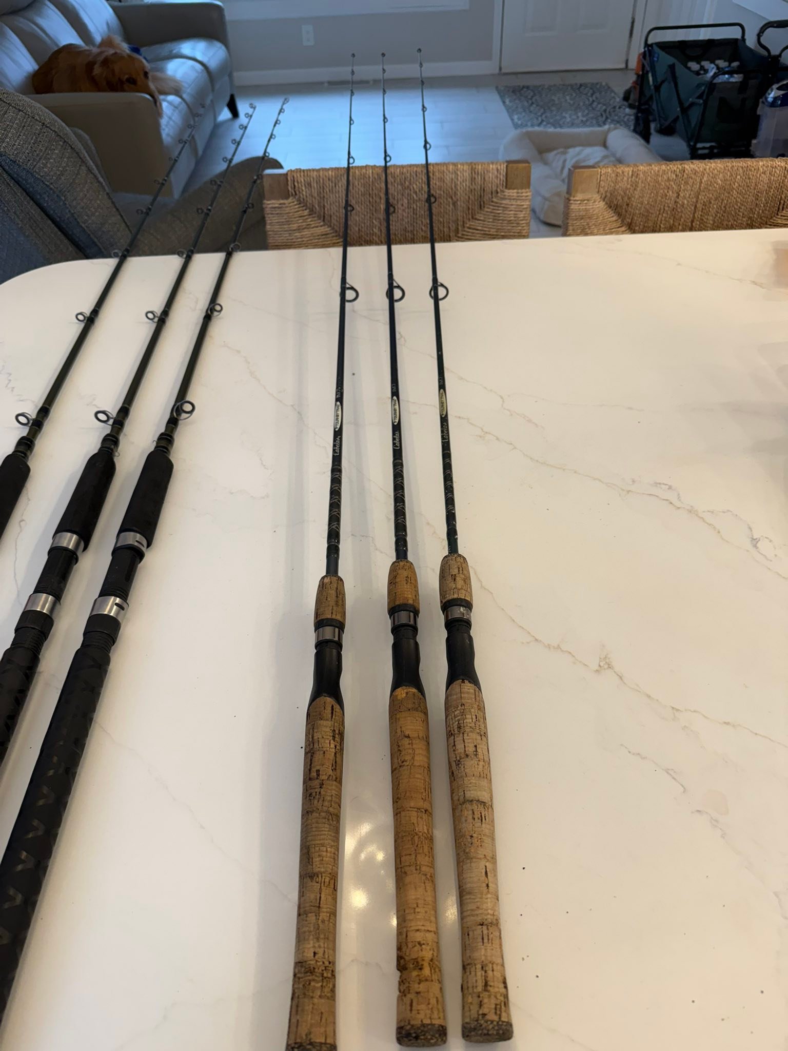 shimano sienna 1000 spool FG : Sports & Outdoors Size:25ft 30GC Whether youre casting ultralight Richard J. Conners Obituary