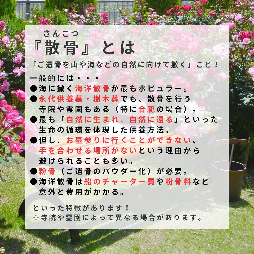サニープレイス松戸 - 【知って得する豆知識】 第11回目は『散骨』についてです！ #サニープレイス松戸...