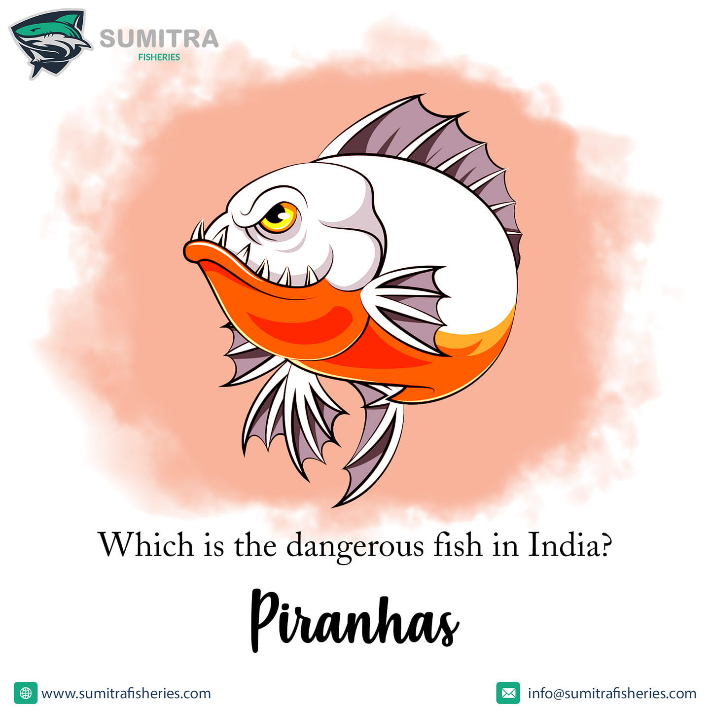 One of the most dreaded fish in the... - Sumitra Fisheries