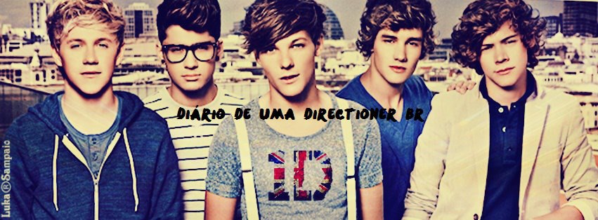 Diário de uma directioner br