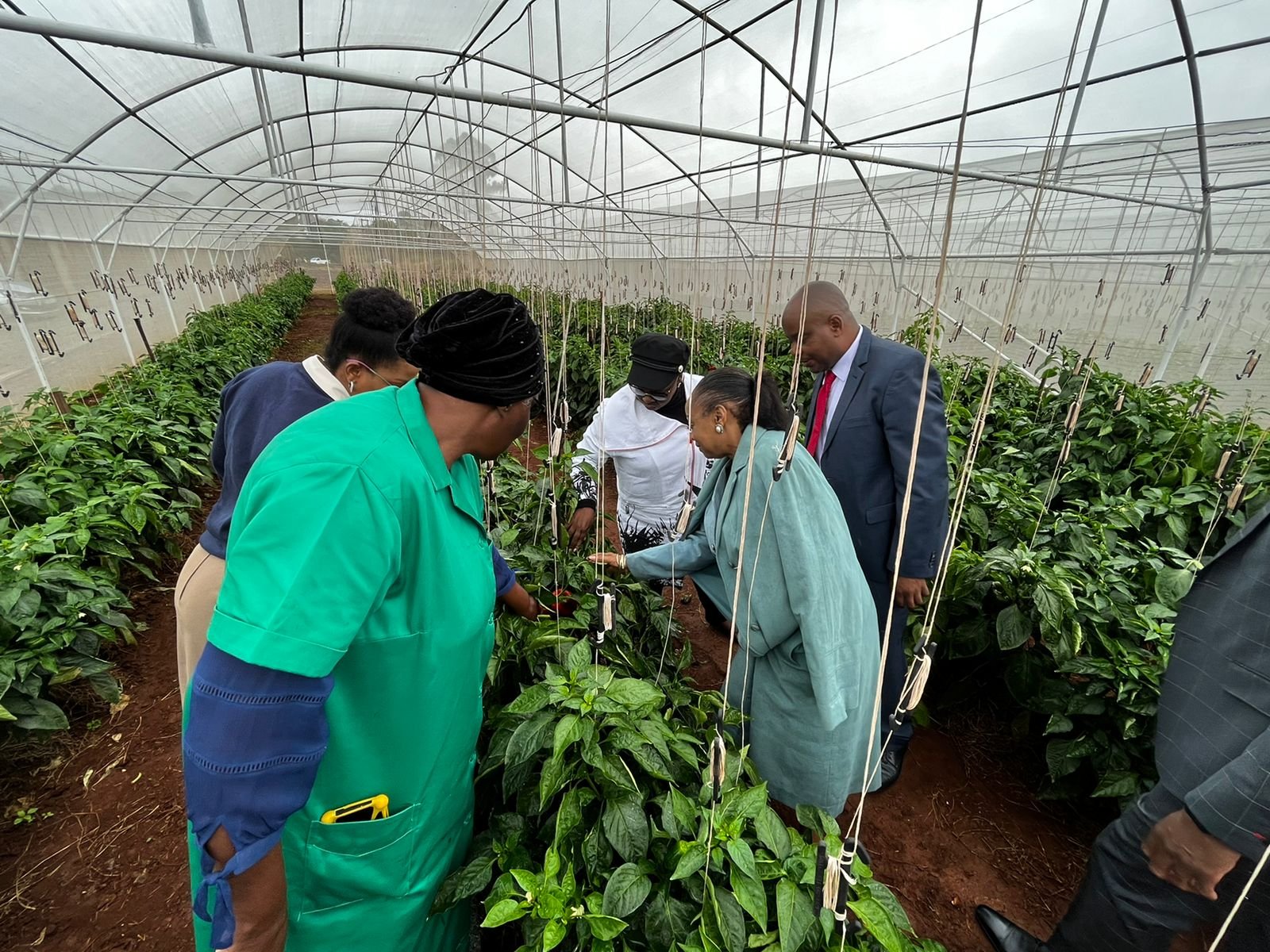 Mr Basikopo Makamu, on behalf... - Limpopo Coghsta Official | Facebook