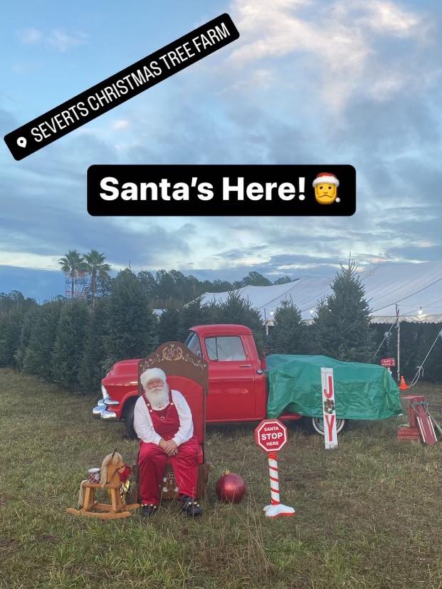 Severts Christmas Tree Farm | Orange Park FL