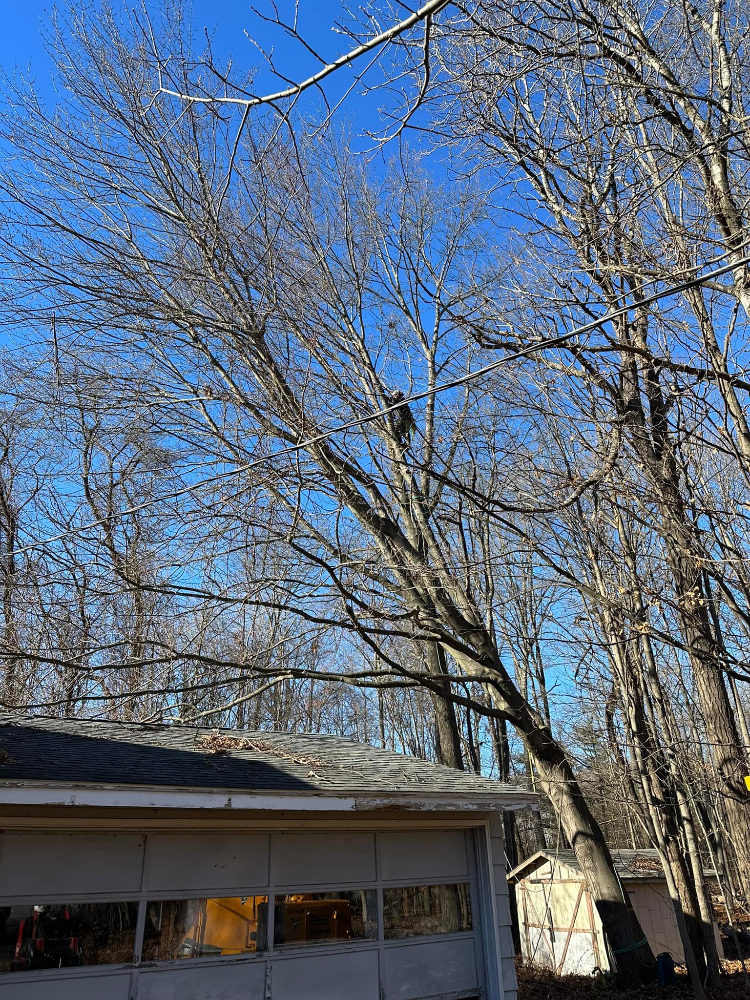 Ballston Tree & Property Services | Ballston Spa NY