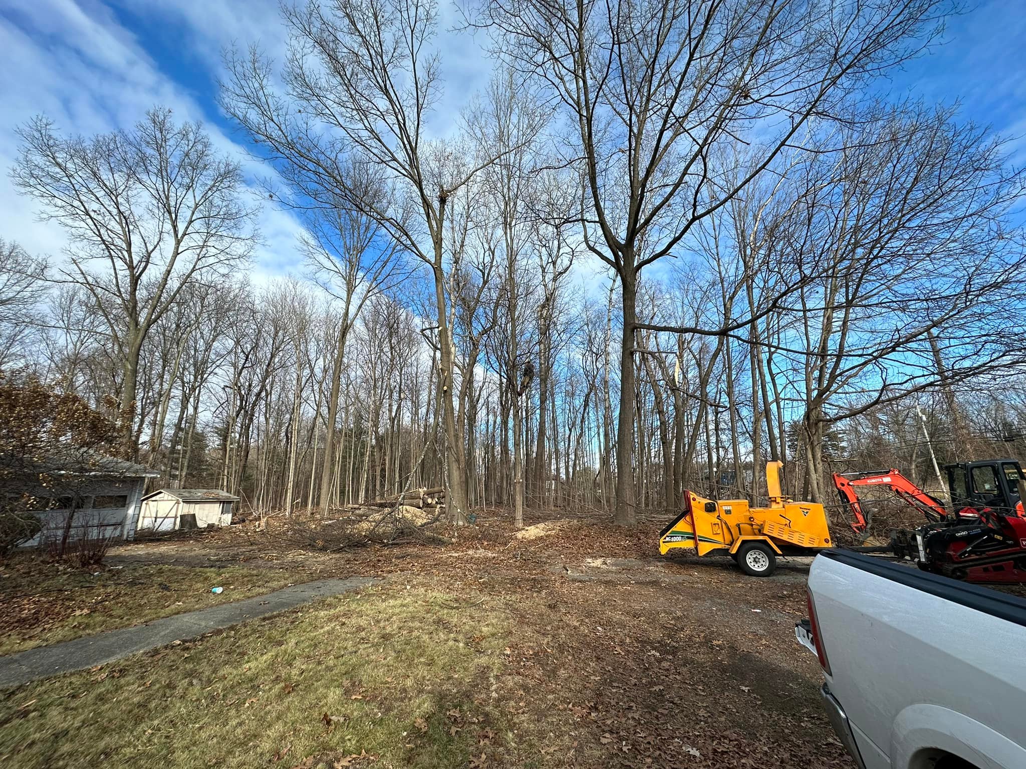 Ballston Tree & Property Services | Ballston Spa NY