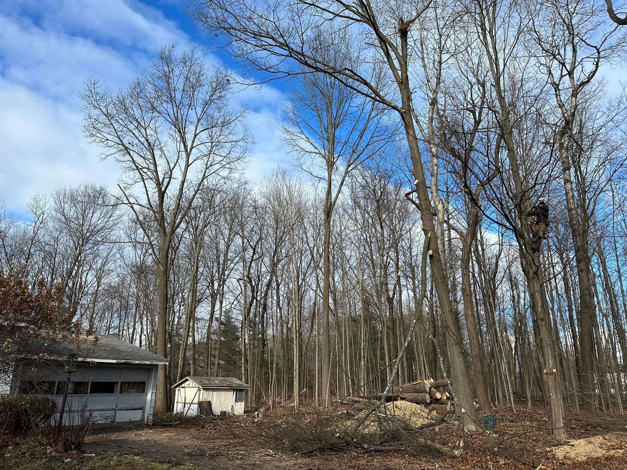 Ballston Tree & Property Services | Ballston Spa NY