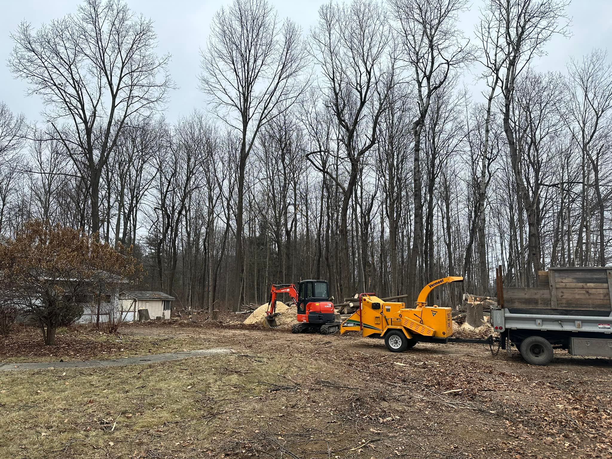 Ballston Tree & Property Services | Ballston Spa NY
