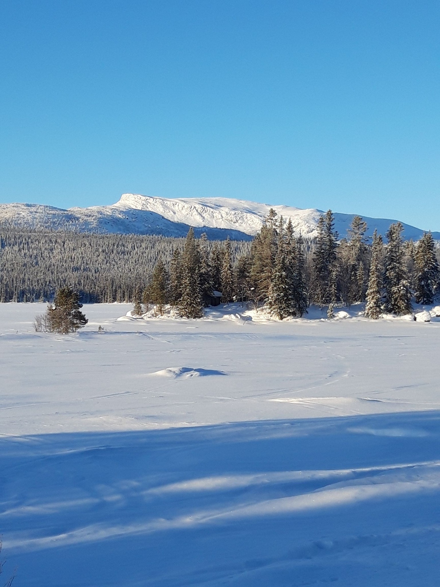 Saxnäs Spår | Marsfjäll