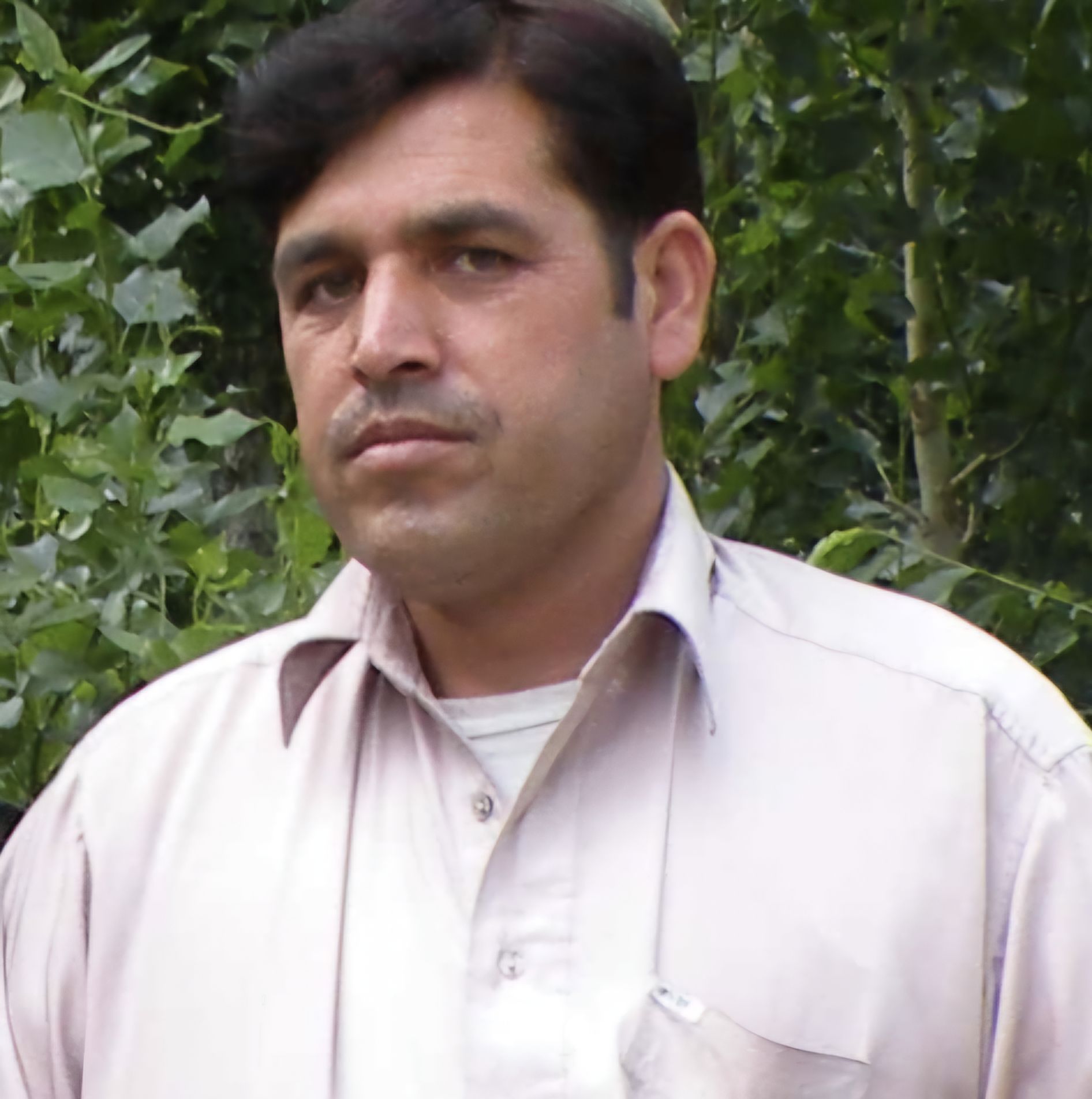 naqib