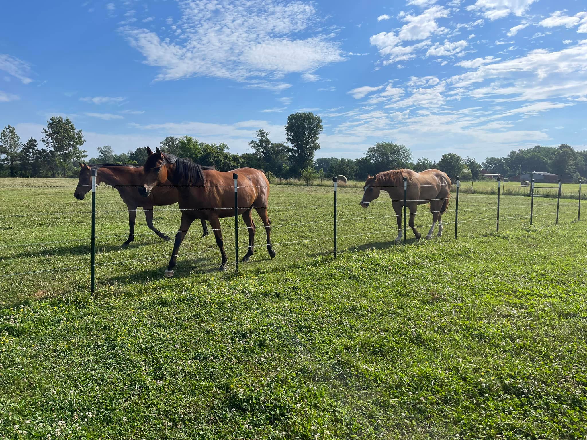 Stables at The Ridge | Pea Ridge AR