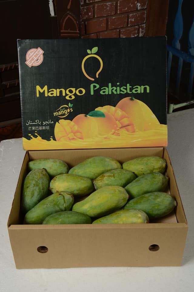 MangoPakistan | Muzaffargarh