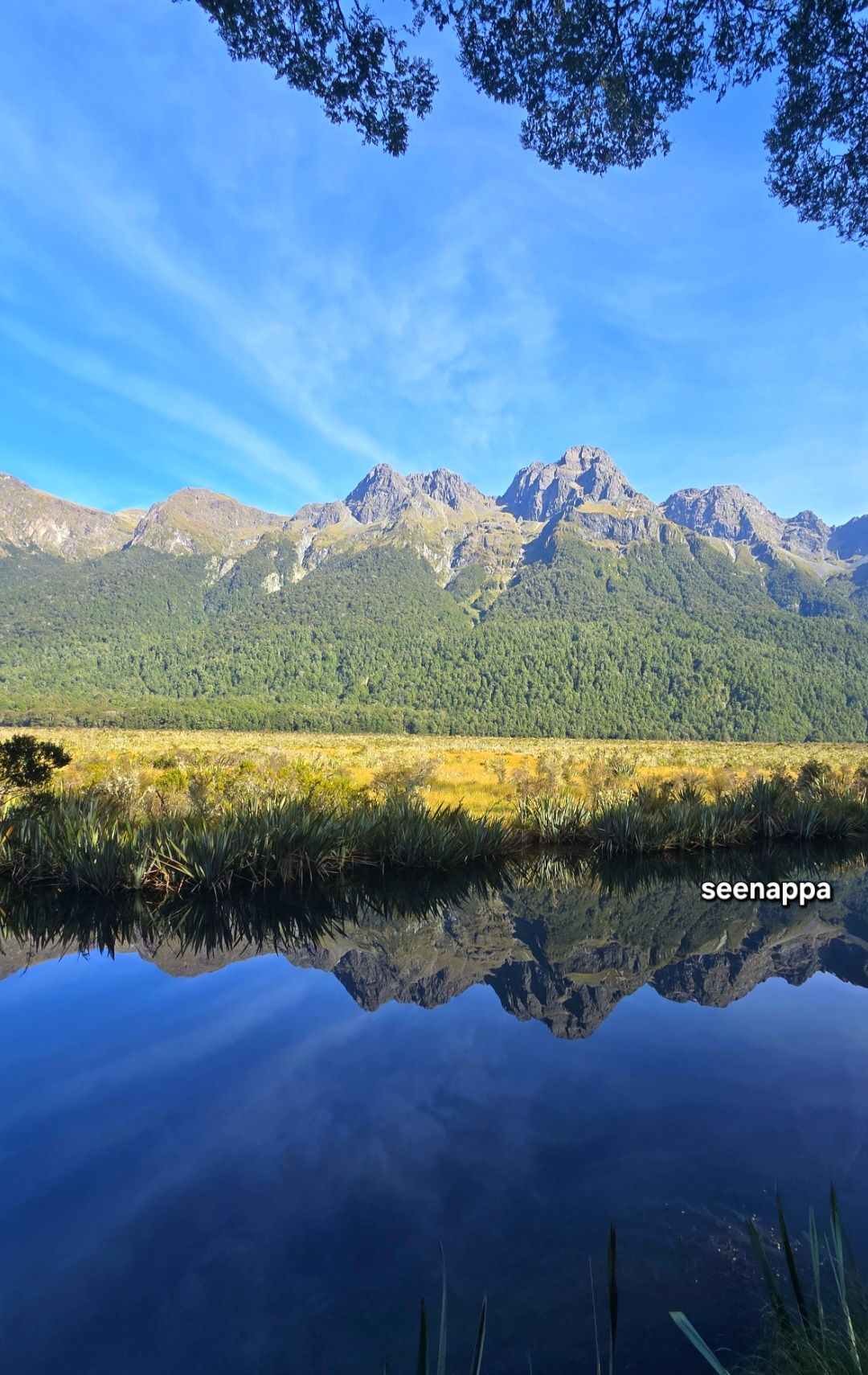 Beauty of the Mirror lake. Milford Sound. South New Zealand. 25