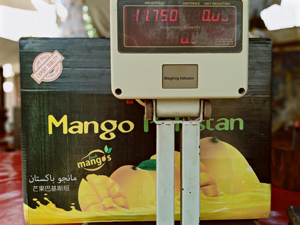 MangoPakistan | Muzaffargarh