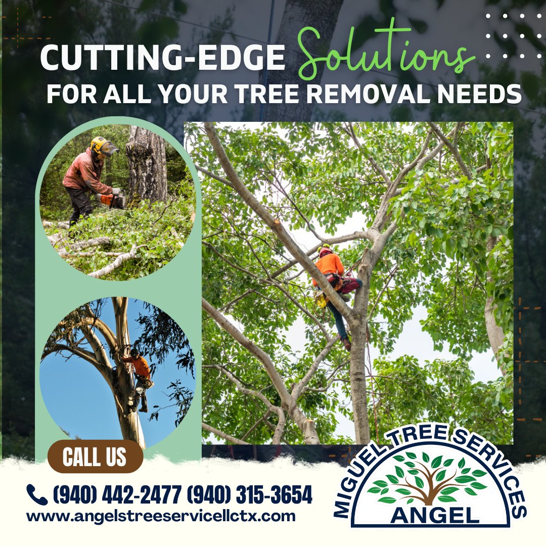 Angel's Tree Service, LLC | Denton TX