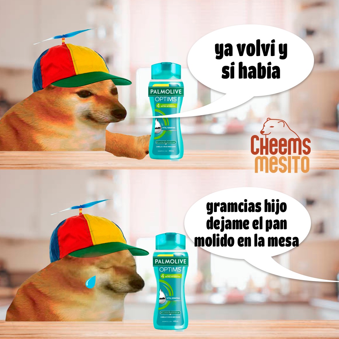 Cheemsmesito - 🐕 Esto se va a ponerm feo... #cheems... | Facebook