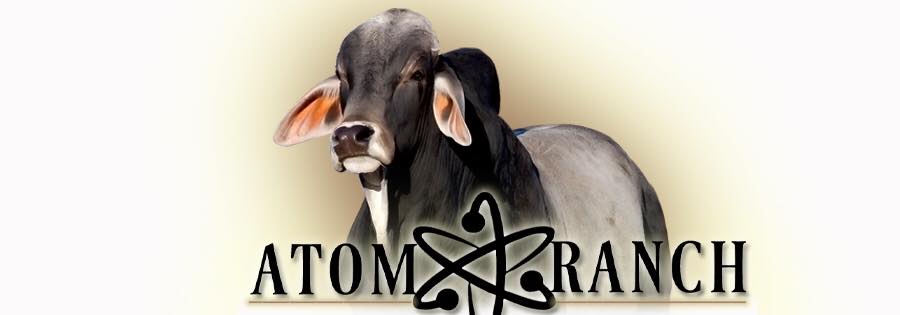 ATOM RANCH | Hugo OK