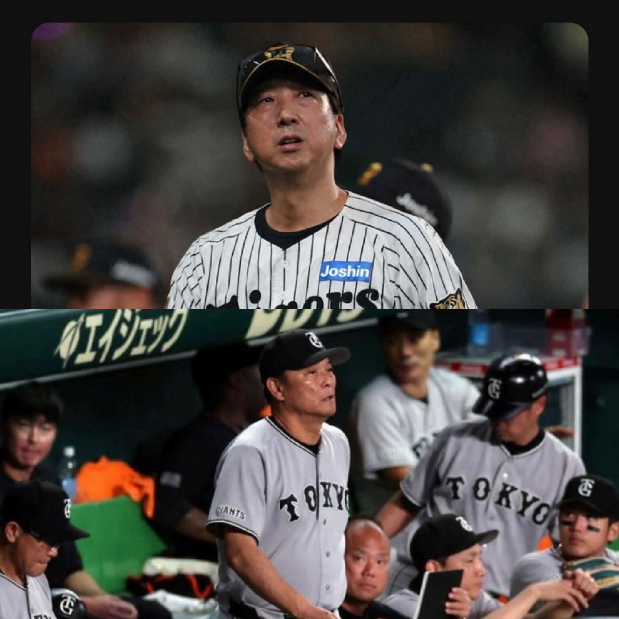 公の場での発言・インタビュー報道記録