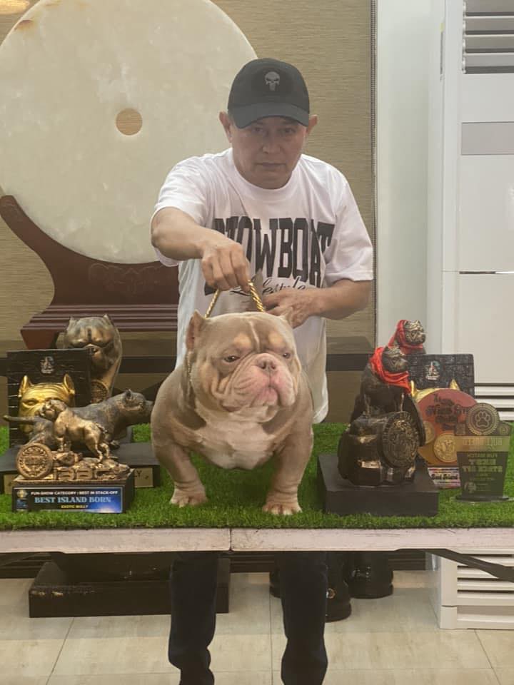BOSS BULLIES🌏 | Facebook
