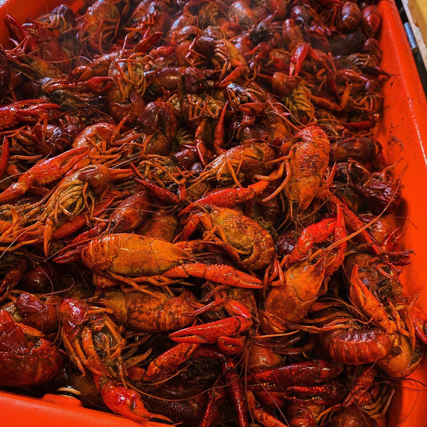 Mudbugs 047 - It’s Sunday Funday!! It’s time to enjoy the...
