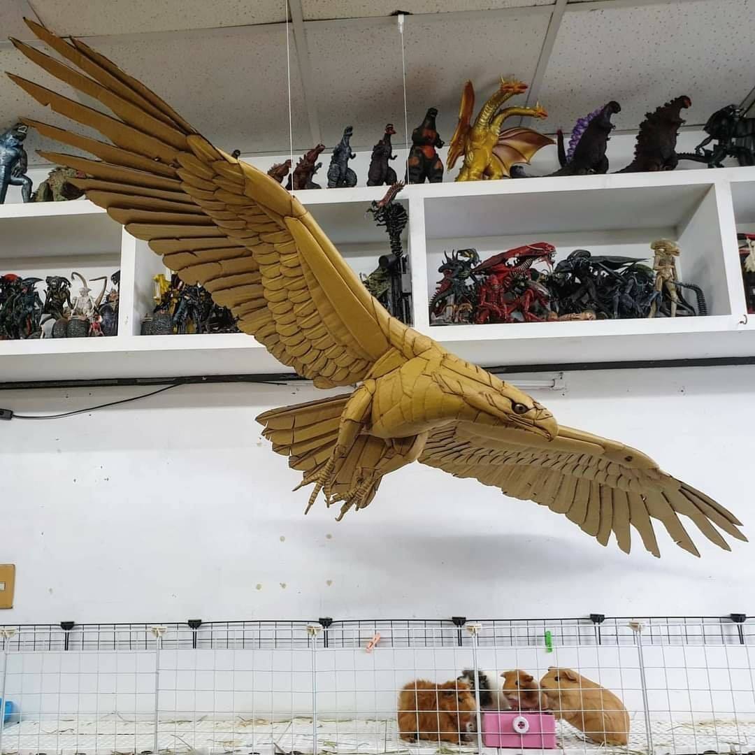 事實證明， 天竺鼠會在野外滅絕不是沒有原因的。 #cardboard... - 鍾凱翔 Kai-Xiang Zhong | Facebook