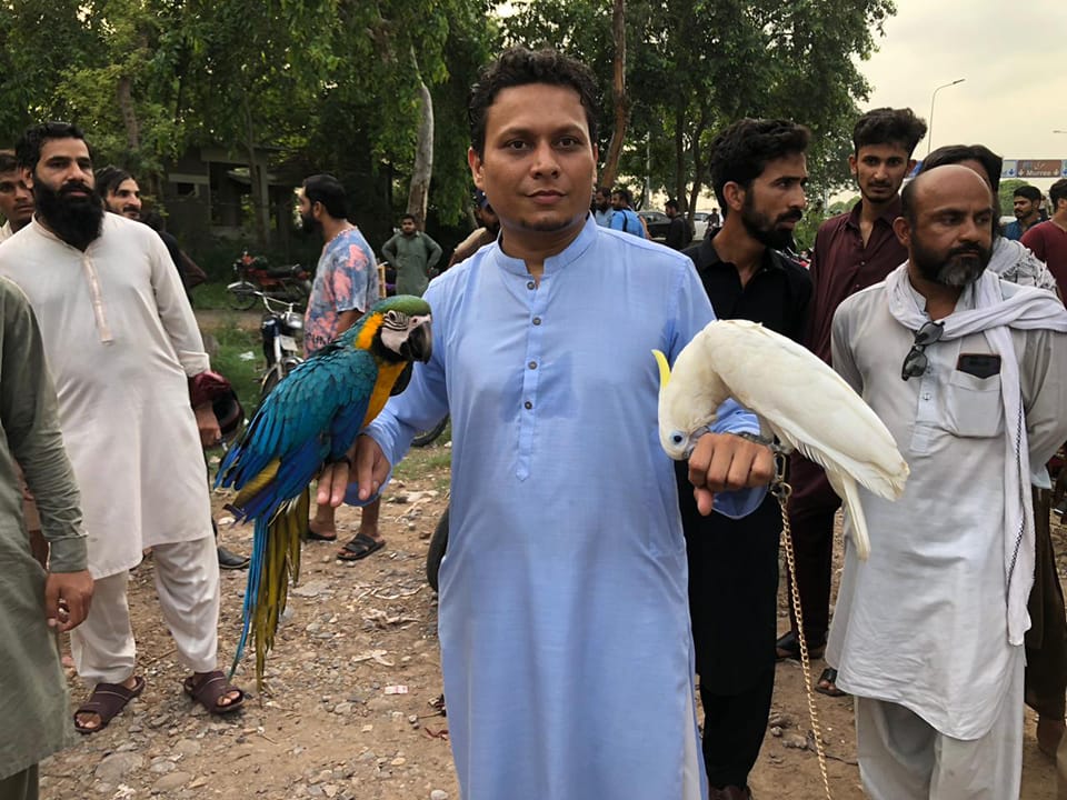 NR Aviary rwp/isb khanna pull | Facebook
