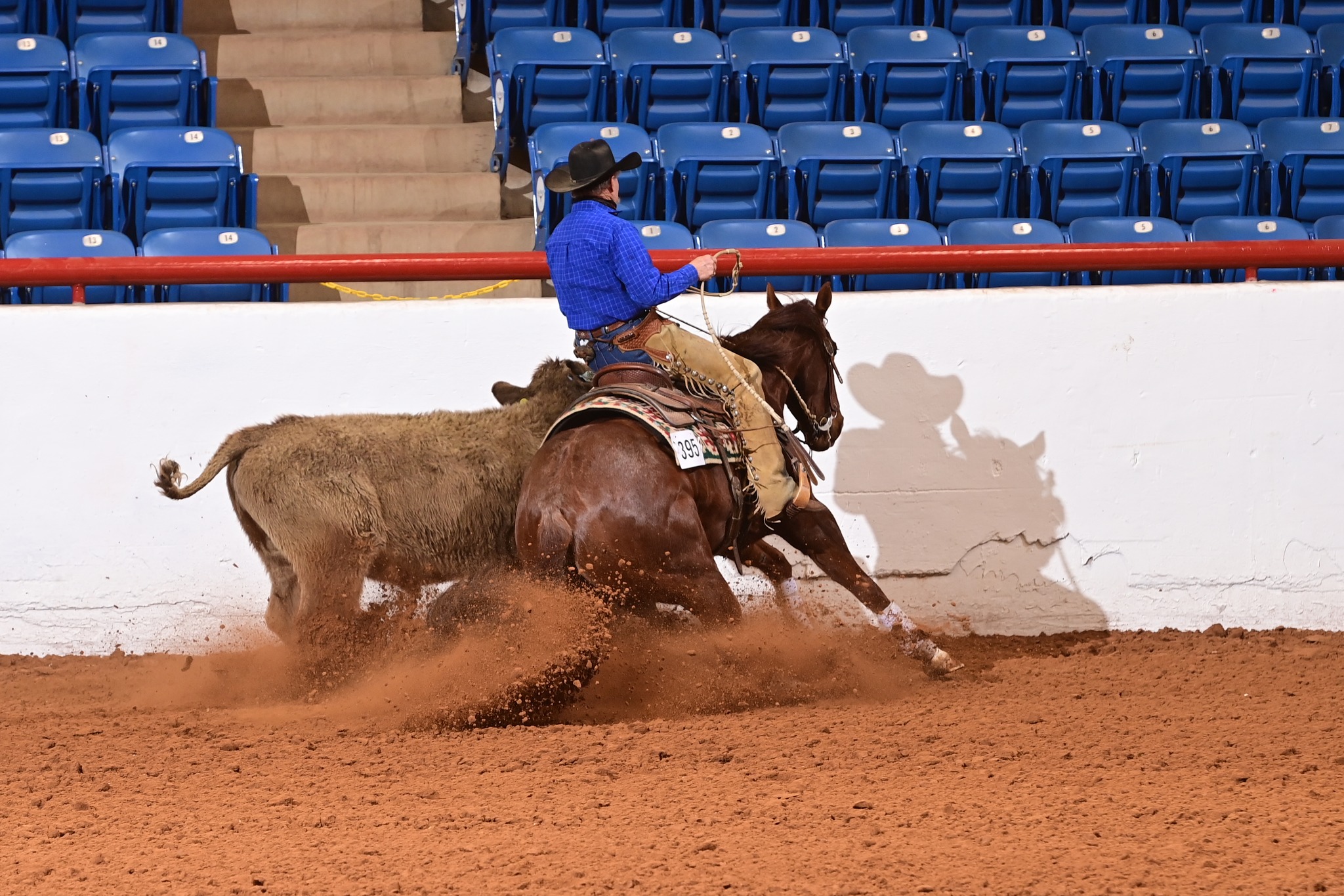 FWSSR Ranch Horse Shows – AQHA & NRCHA