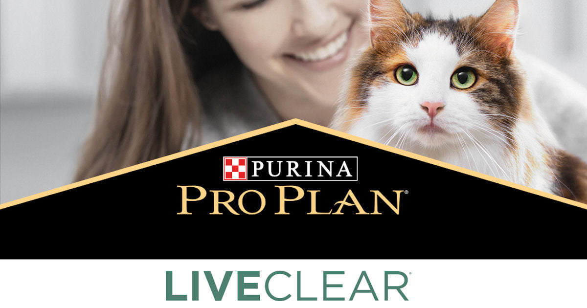 Clinique Veterinaire Seuil De Caux Nouveau Vous Etes Allergique Aux Chats Mais Vous En Etes Passionne Ou Vous Avez Toujours Reve D En Etre Proprietaire Vous Souhaiteriez Adopter Un Chat Mais Votre
