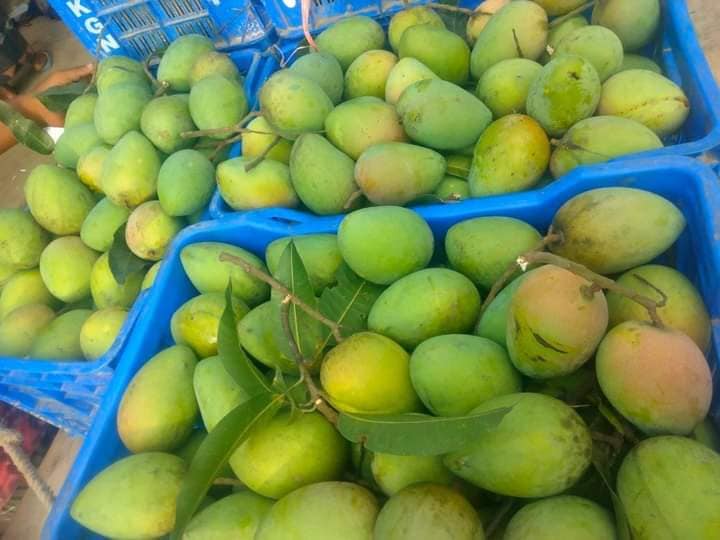 হাঁড়িভাঙ্গা ZM | Rangpur