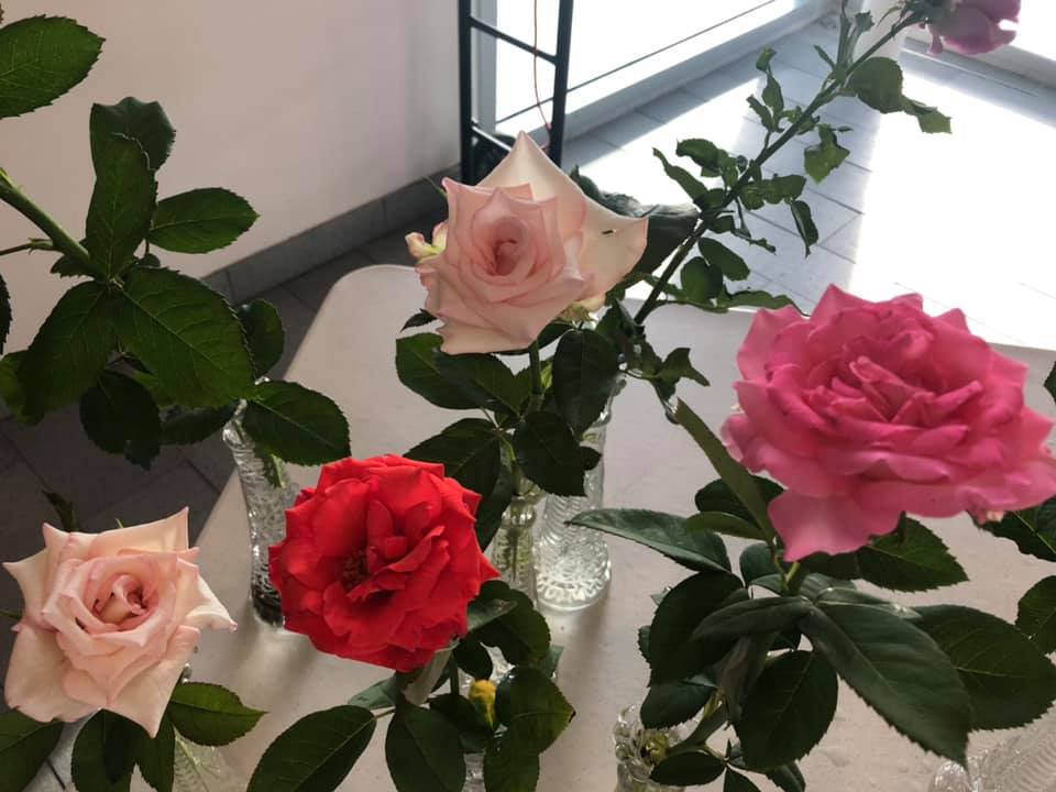 Happy 80th Birthday to Patsy and... - Houston Rose Society