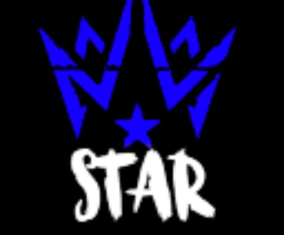 New Star Roleplay