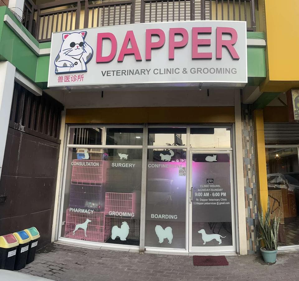 Angeles Meow Time CAT Café... - Angeles Meow Time CAT Café