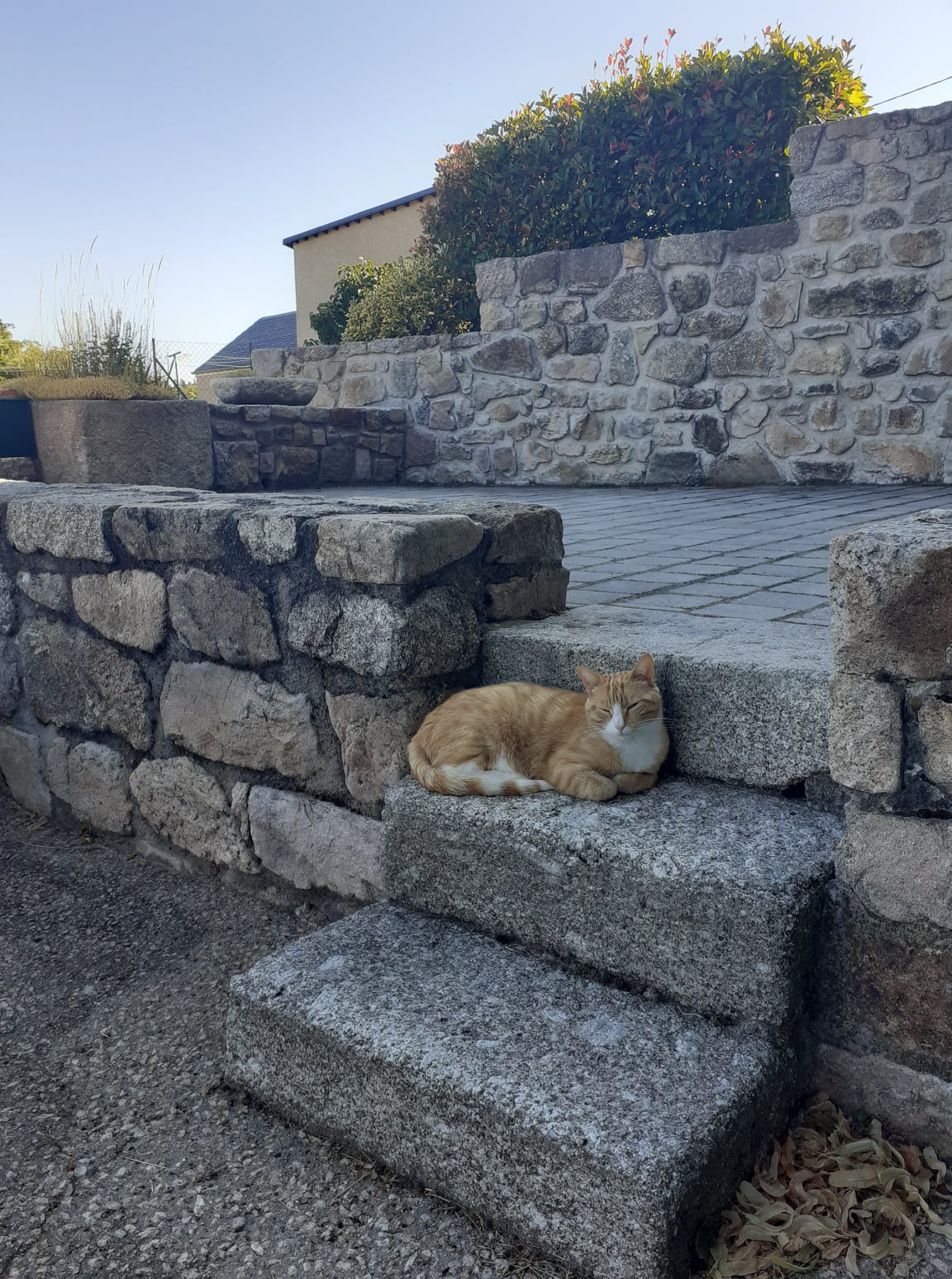 Gite D étape Lasbros Chez Marie En Aubrac