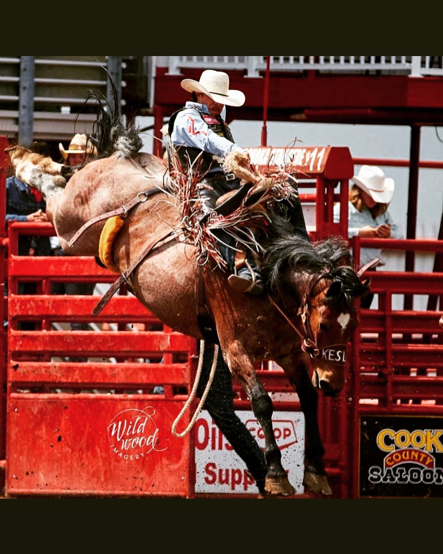 Duane Kesler Championship Rodeo
