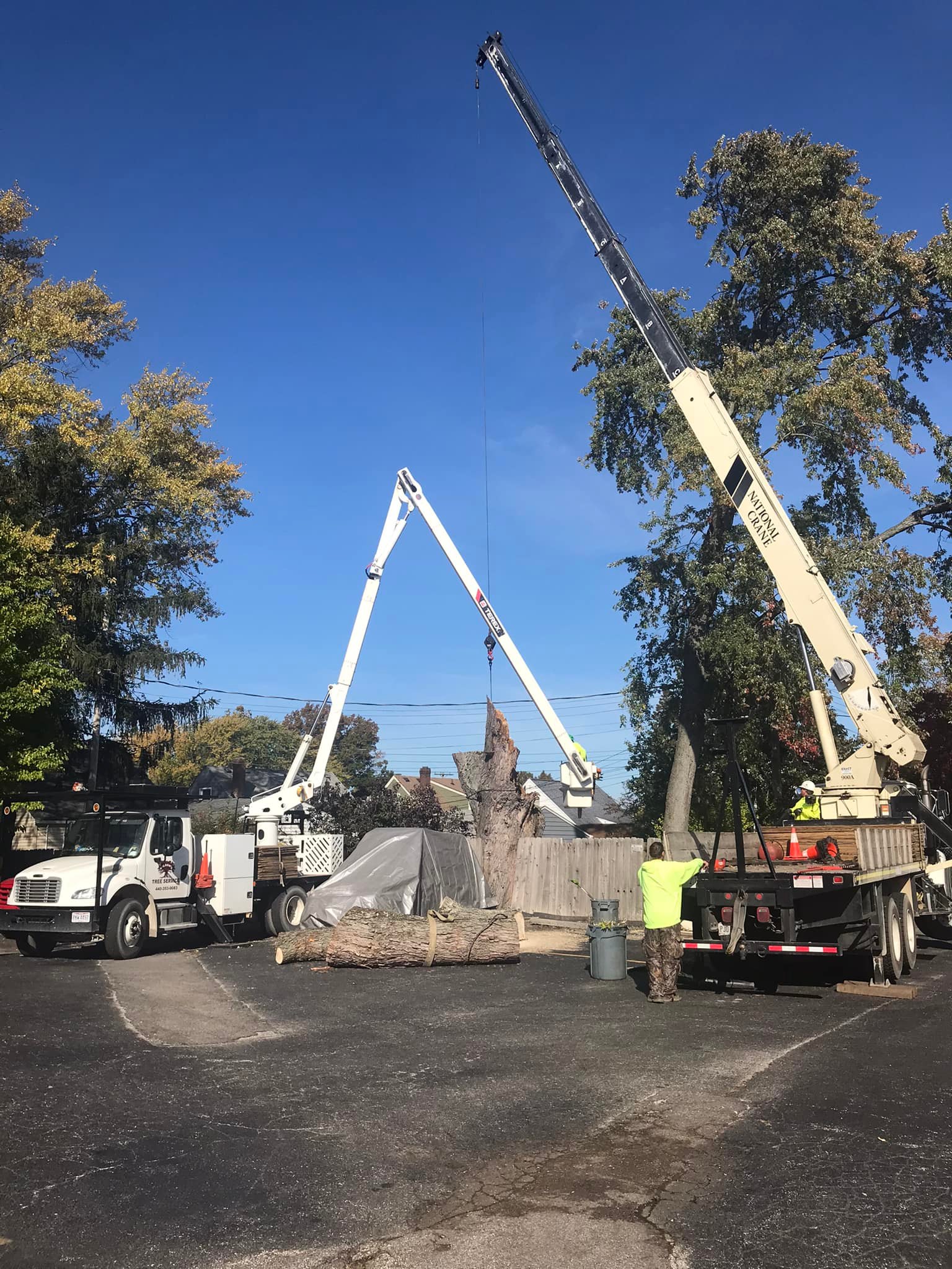 Wilson Tree Service | North Ridgeville OH