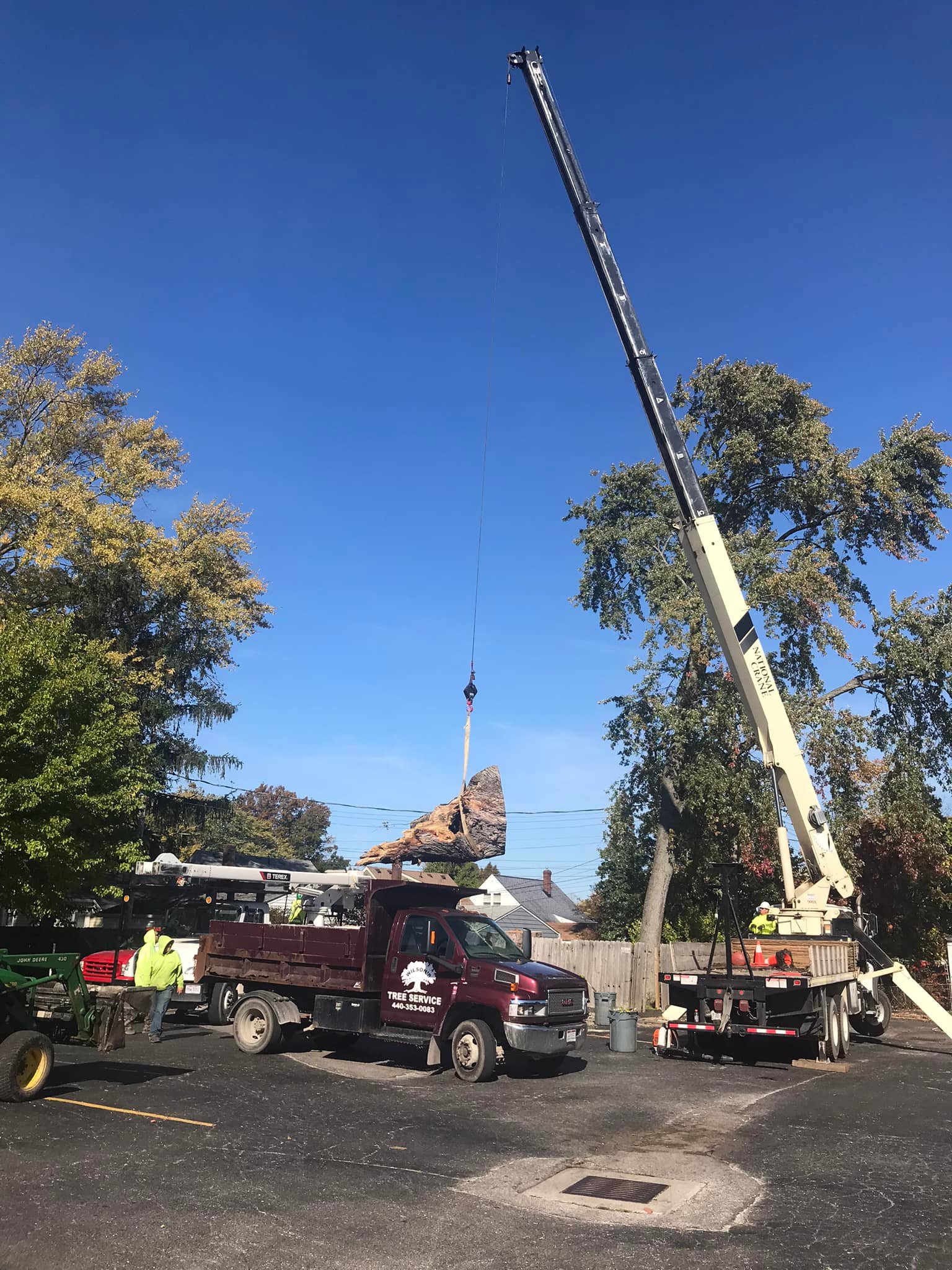 Wilson Tree Service | North Ridgeville OH