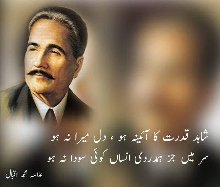 Mian Waheed