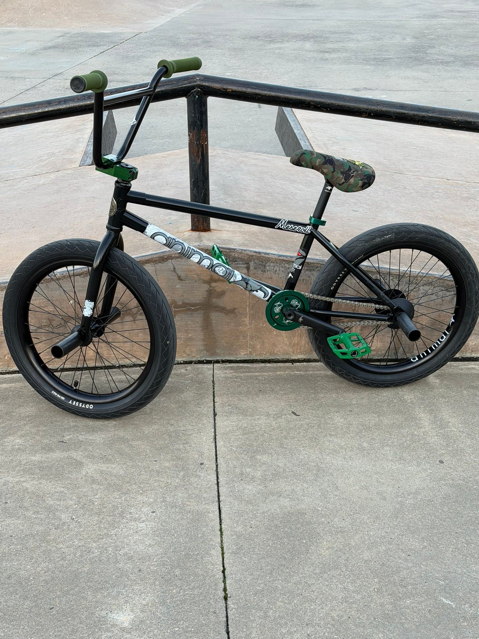 Animal Red Eye bike build with custom parts