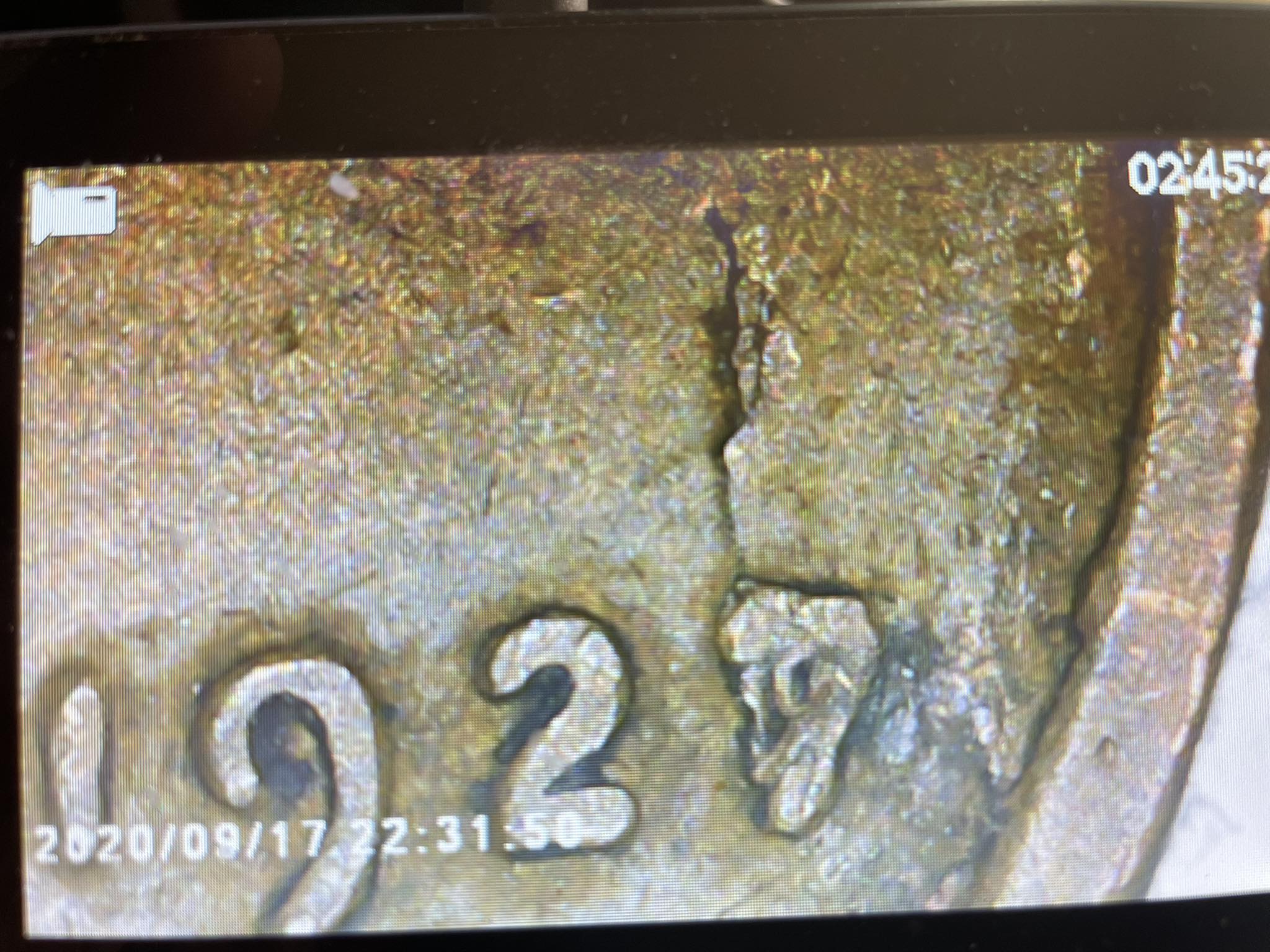 Anyone tell me what happened to this penny looks like another