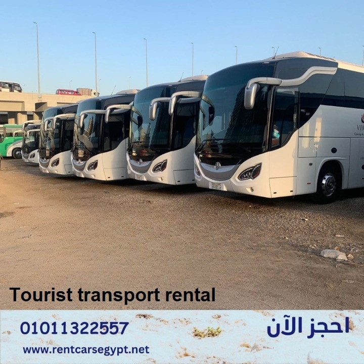 Rent bus in Egypt,ايجار ميكروباص - اسعارنا دايما مختلفة بنقدملك افخم ...