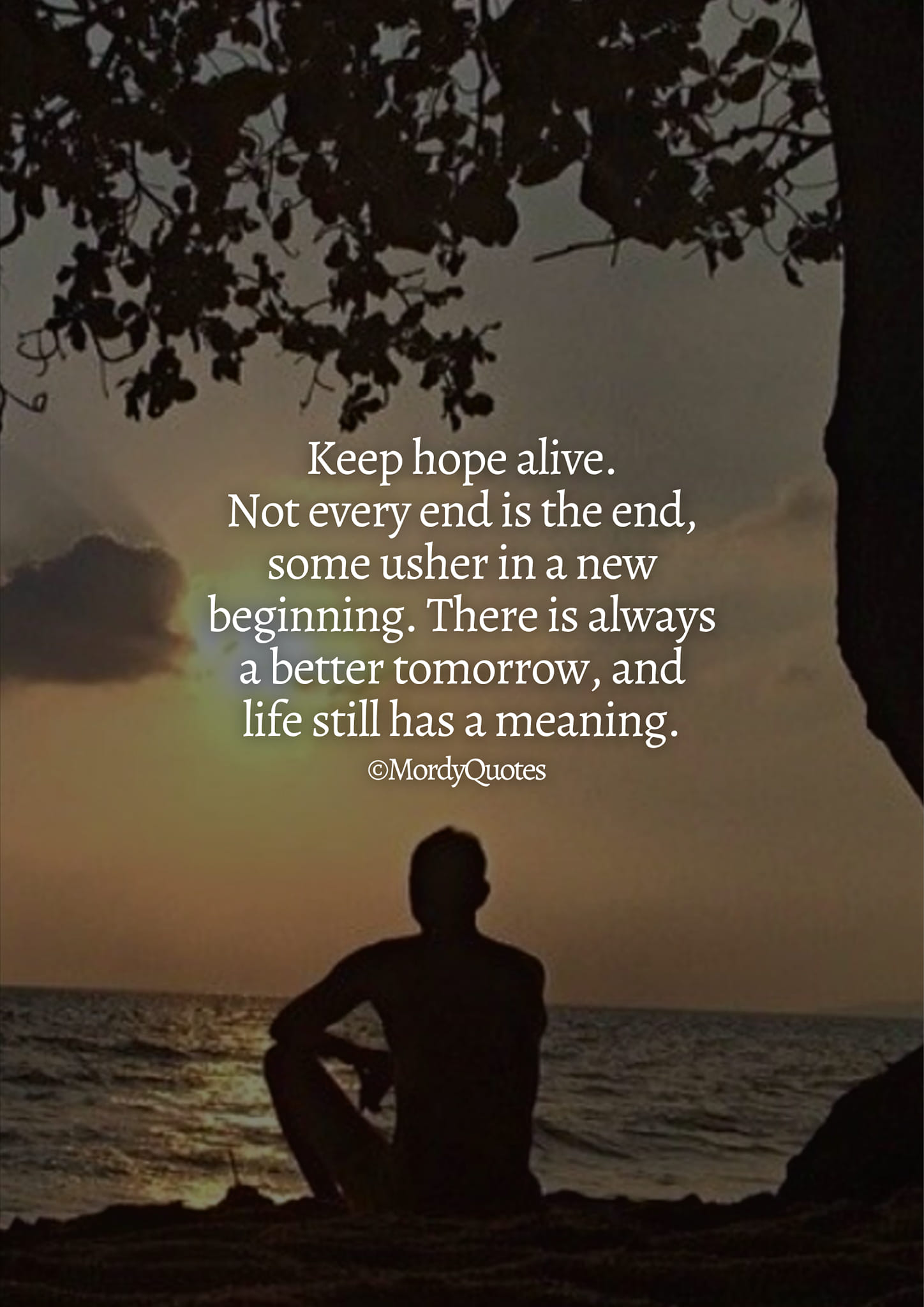 Every story has an end, but in life, every ending is just a new 