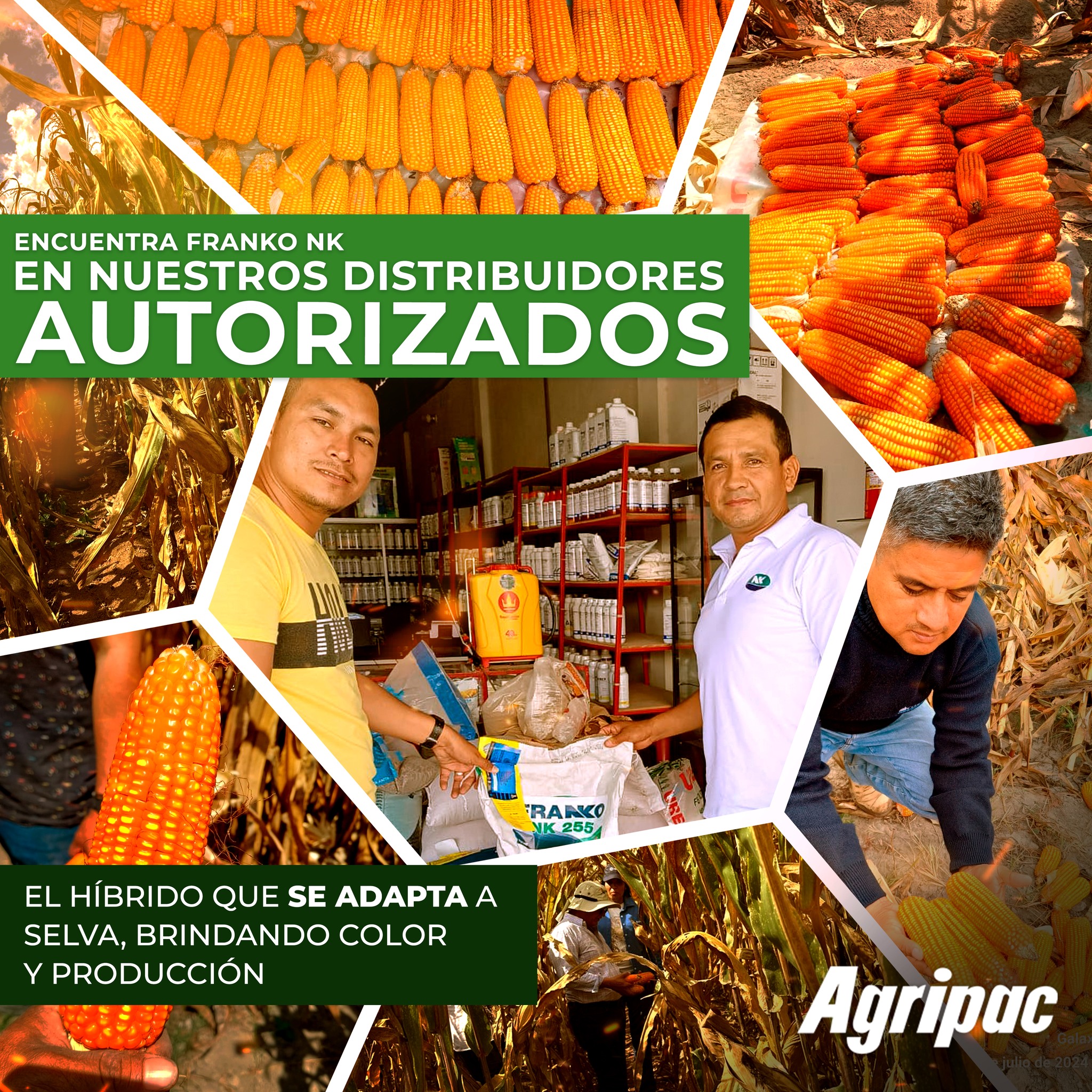 Agripac - Encuentra FRANKO NK 255 en todas nuestras agencias de Agripac ...
