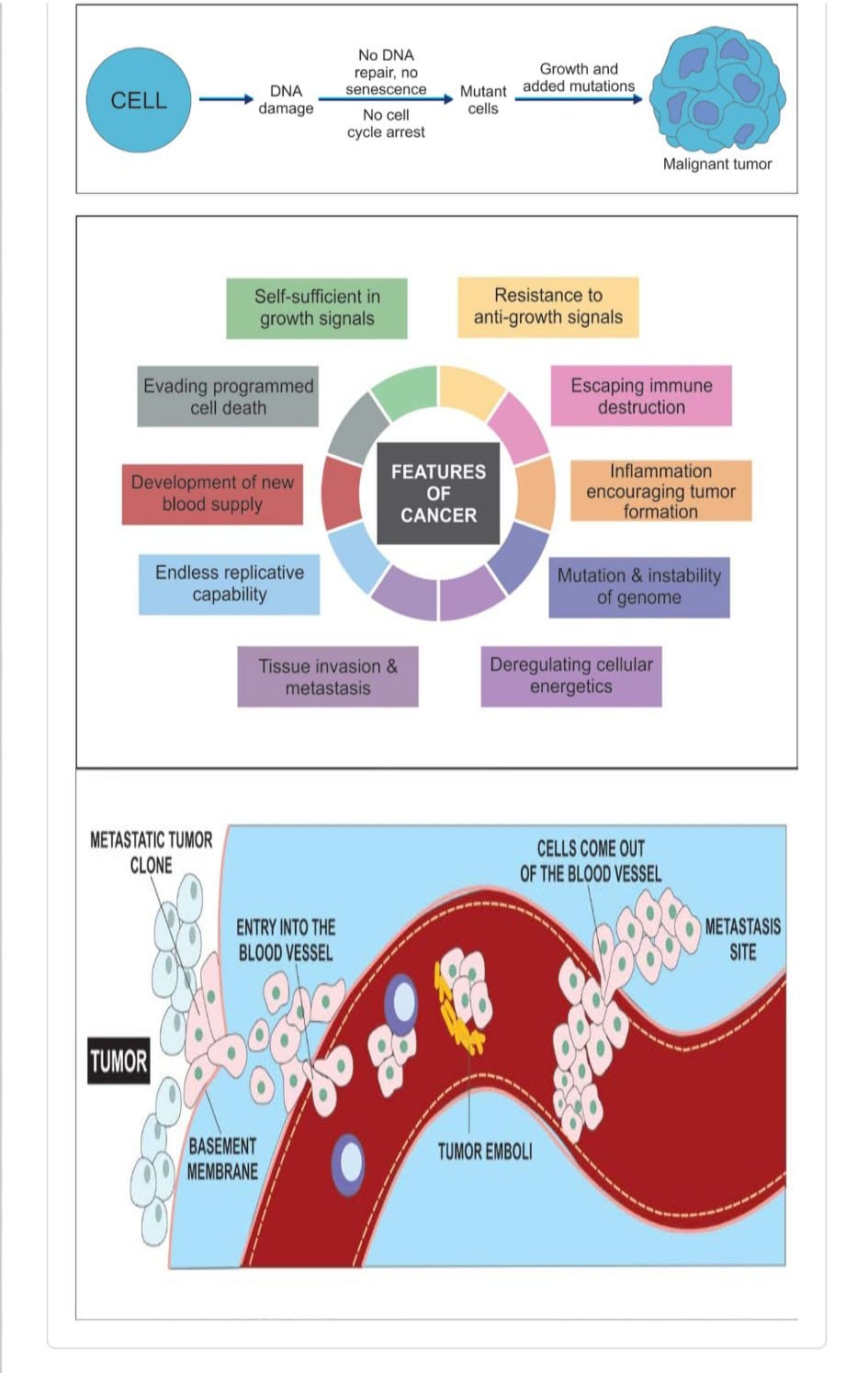 CANCER INFORMATION. WHAT IS CANCER ? Cancers are a group of diseases ...