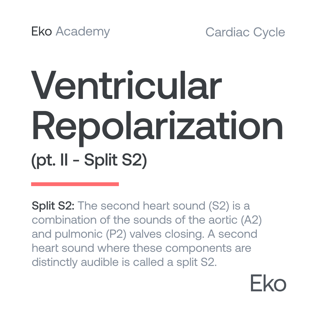 Eko Health - Ventricular Repolarization pt. II - Split S2...
