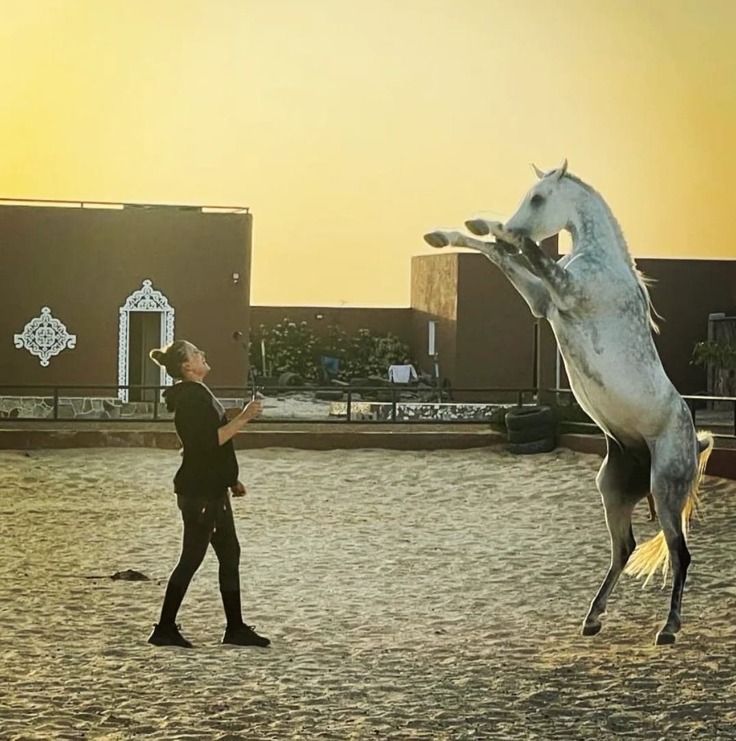 Dimango c'est Jet Li apparemment 😎 Ceinture noire de Karaté le cheval 🤣 ...