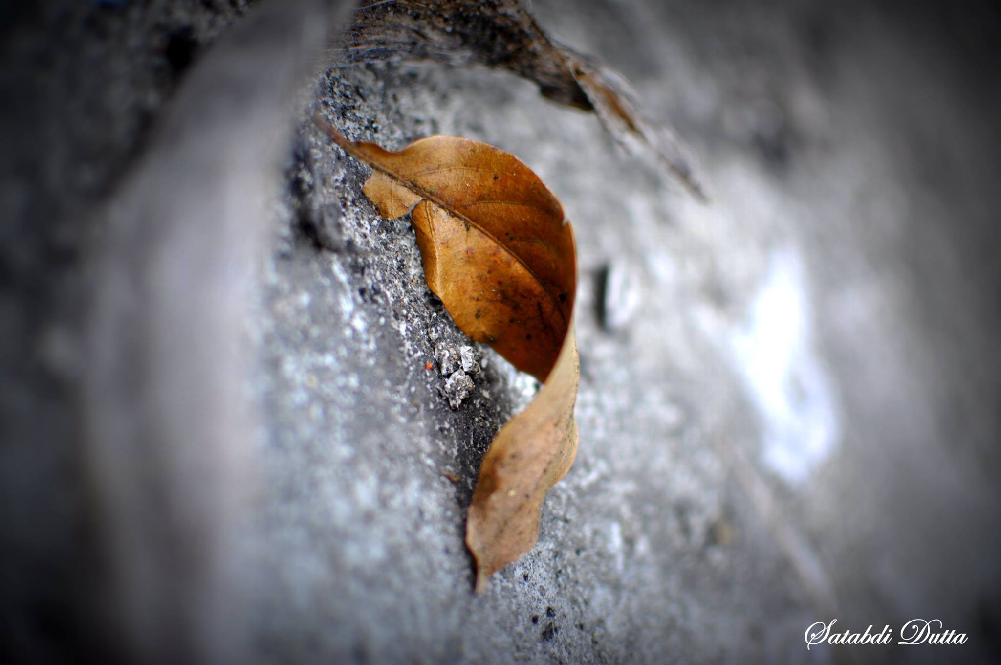 Shutterbug's Diary - the initial phase wen i started clicking with my ...