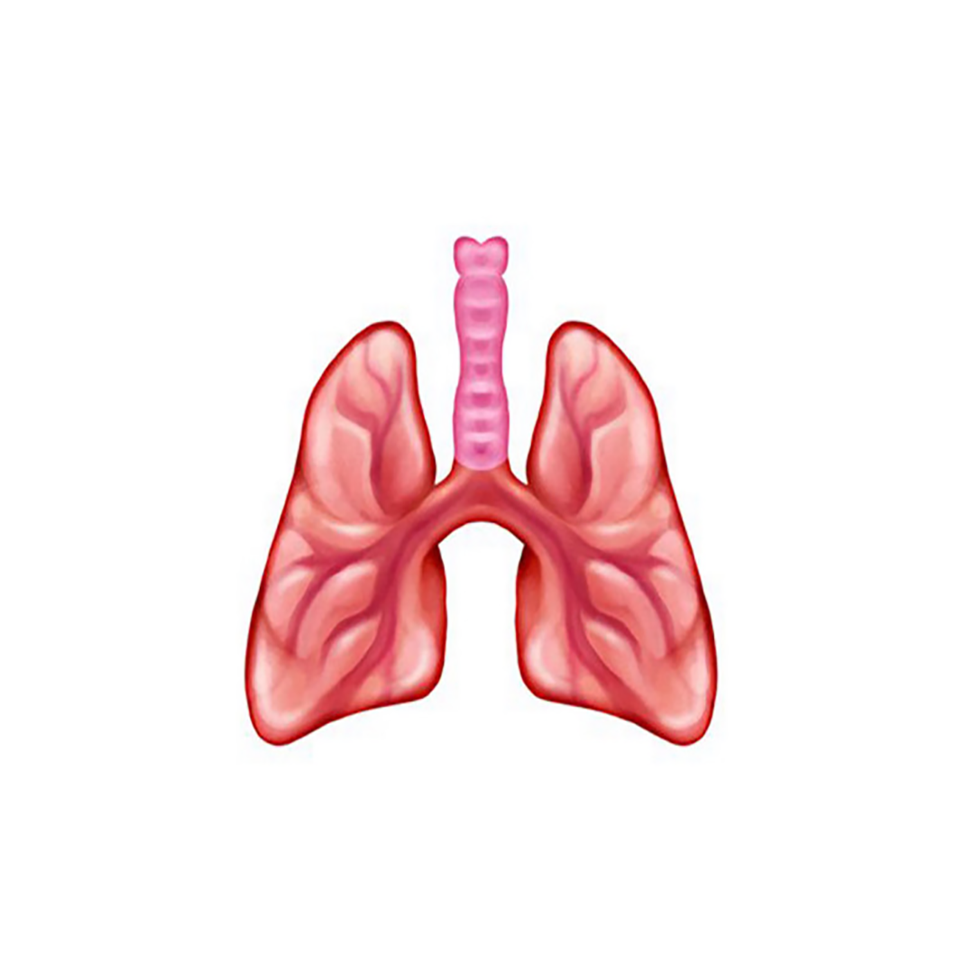 Happy World Emoji... - American Lung Association in Indiana