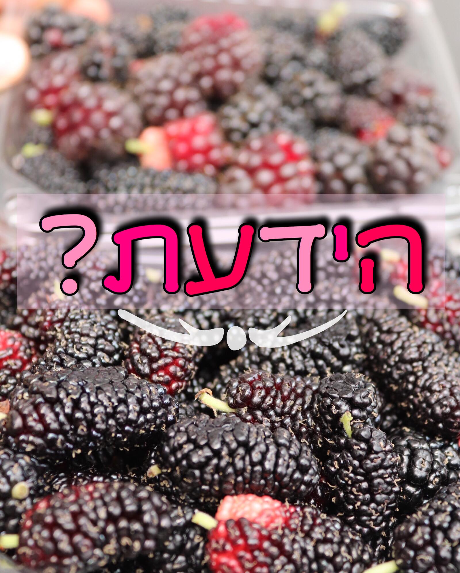 הידעת? 🧐 אכילת תות עץ תורמת לך... - אגרונן - קטיף עצמי בגדרה