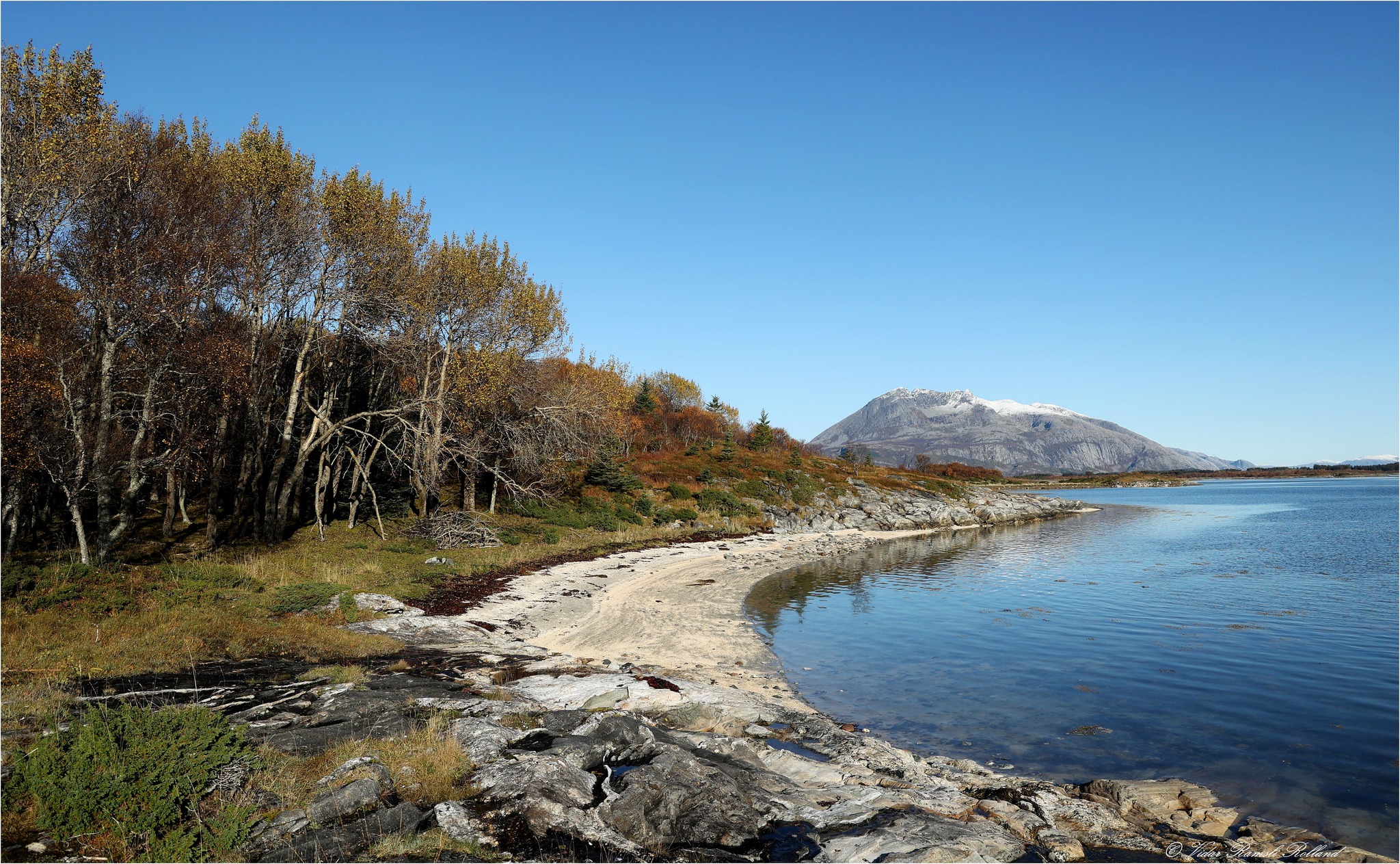 Biler til salgs Nordland | Facebook