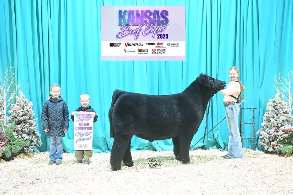 Schilling Cattle Company