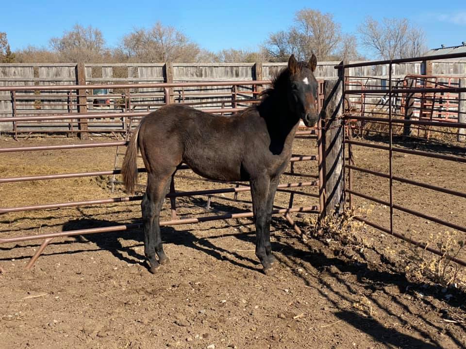 Coat Hanger Ranch | Pierre SD