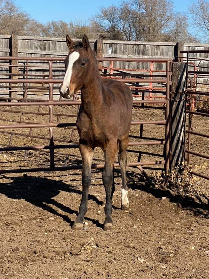 Coat Hanger Ranch | Pierre SD